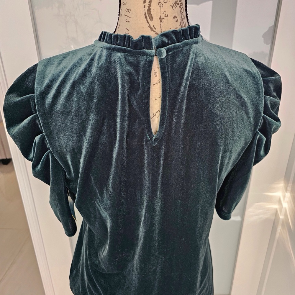 NWT-Green Velvet Blouse
